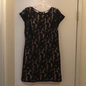Ann Taylor Loft lace dress